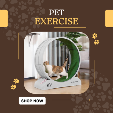 Pet Excercise