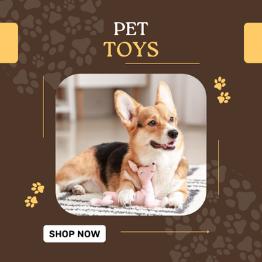 Pet Toys