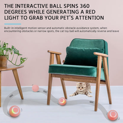 Smart Cat Rolling Ball Toy - BarkNPurrStore