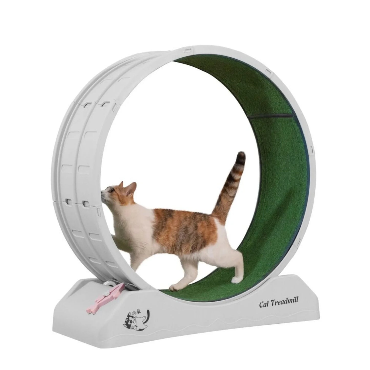 Amazing Cat Exercise Treadmill - BarkNPurrStore