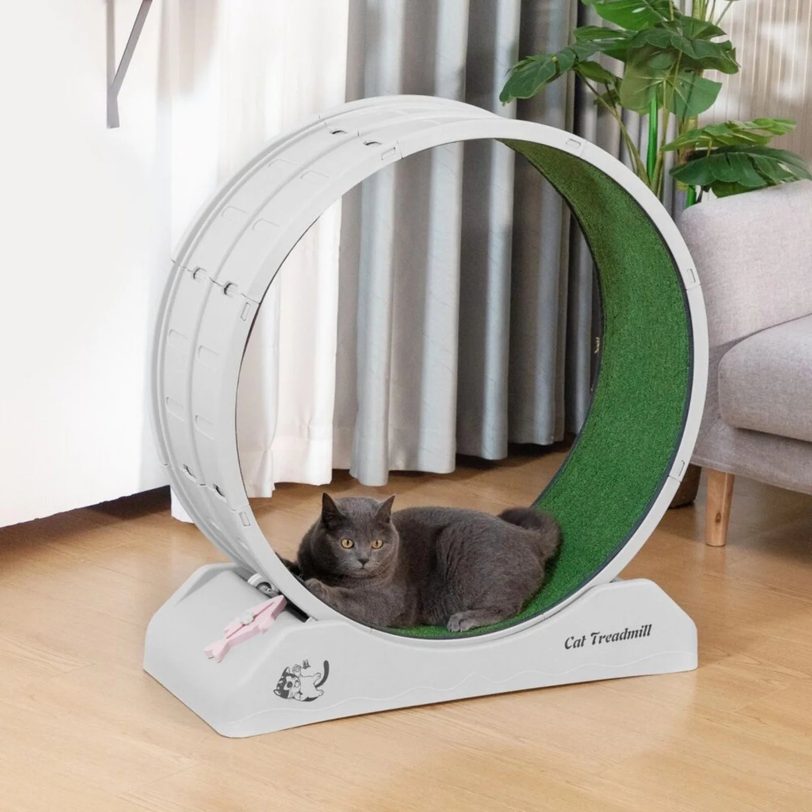 Amazing Cat Exercise Treadmill - BarkNPurrStore