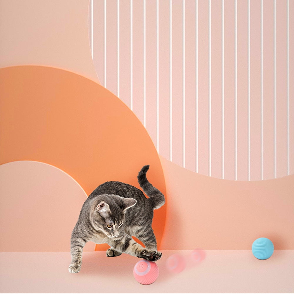 Smart Cat Rolling Ball Toy - BarkNPurrStore